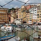 Camogli - il paesaggio racchiuso in una rete 