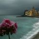 ....Camogli in Fiore......