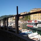 Camogli, porto pescatori 2