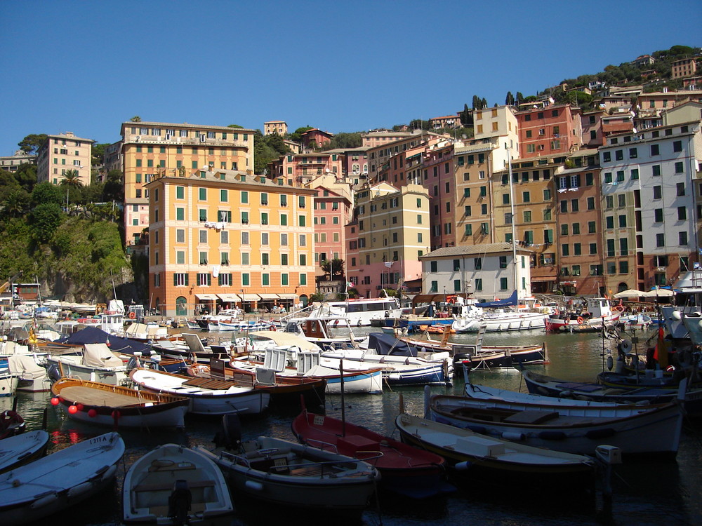 Camogli, porto pescatori