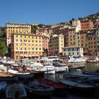 Camogli, porto pescatori