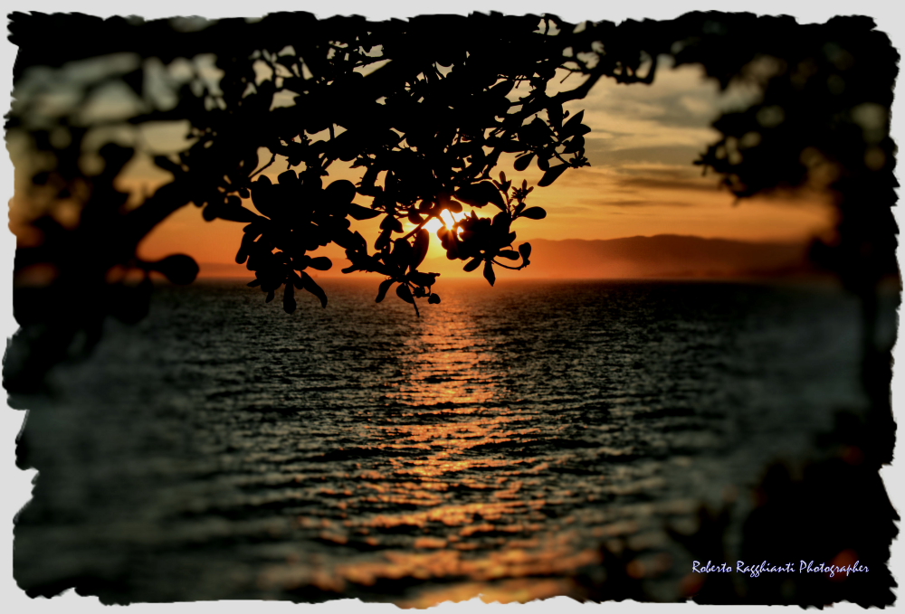 Camogli sunset