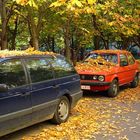 Camouflage of fall