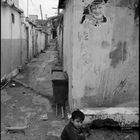 Camp de réfugiés palestiniens de Rashidié, sud-Liban