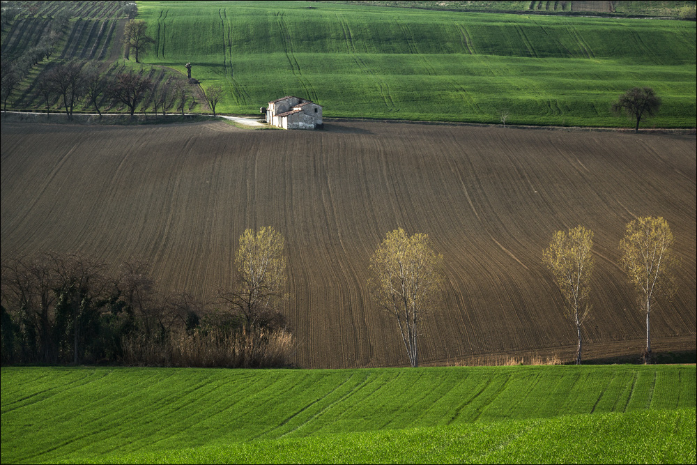 Campagna