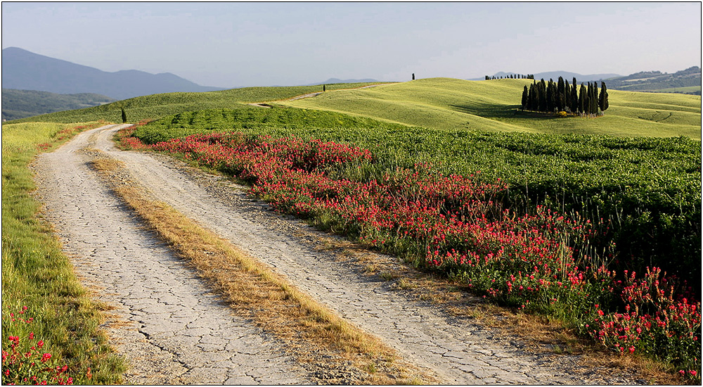 Campagna