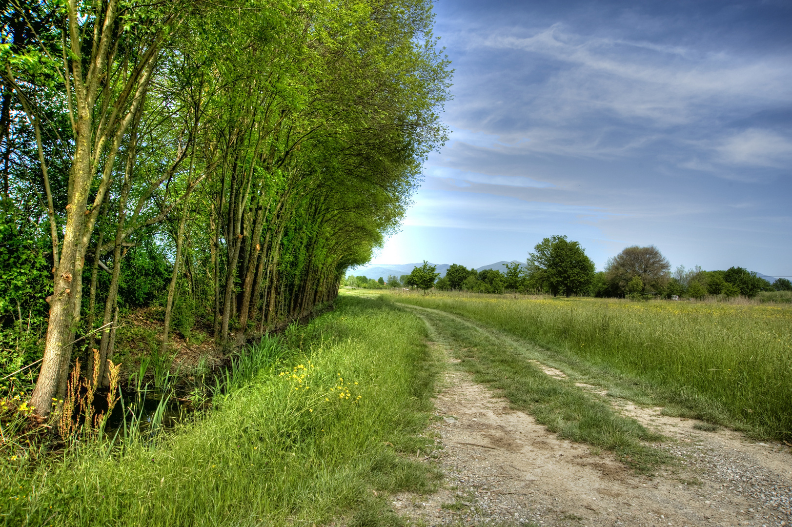 Campagna