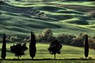 Campagna a Monticchiello von Mario Ventura 