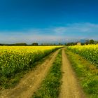 CAMPAGNA A PRIMAVERA