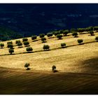 campagna abruzzese