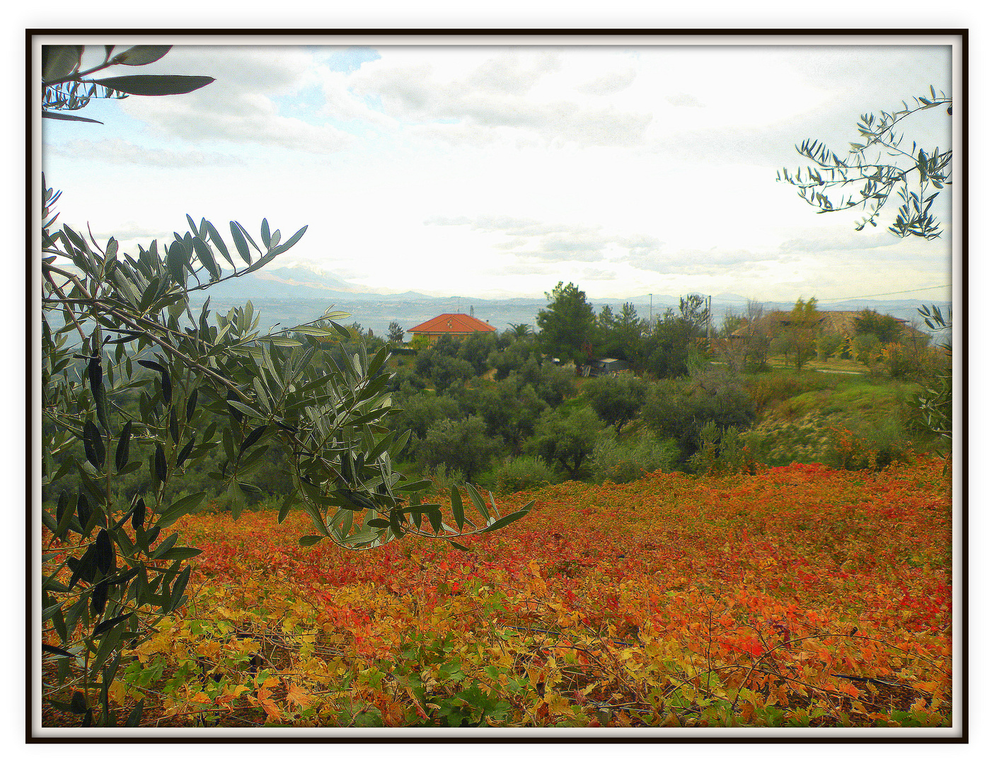 Campagna abruzzese