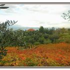 Campagna abruzzese