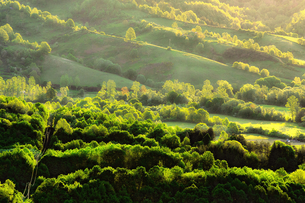 Campagna al risveglio