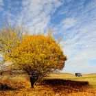 Campagna autunnale