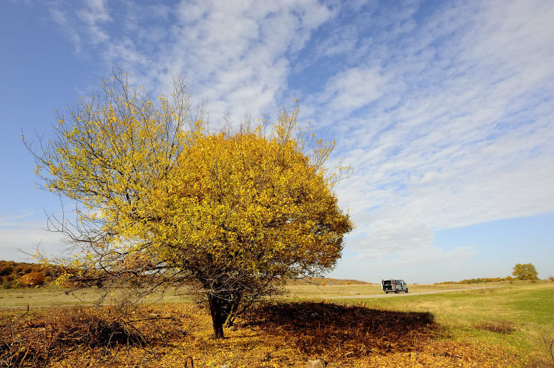 Campagna autunnale