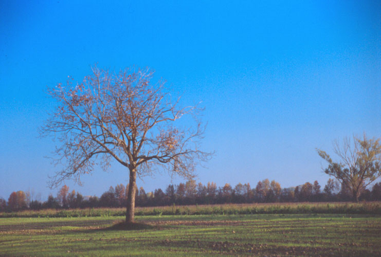 campagna autunnale