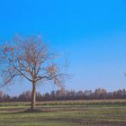 campagna autunnale