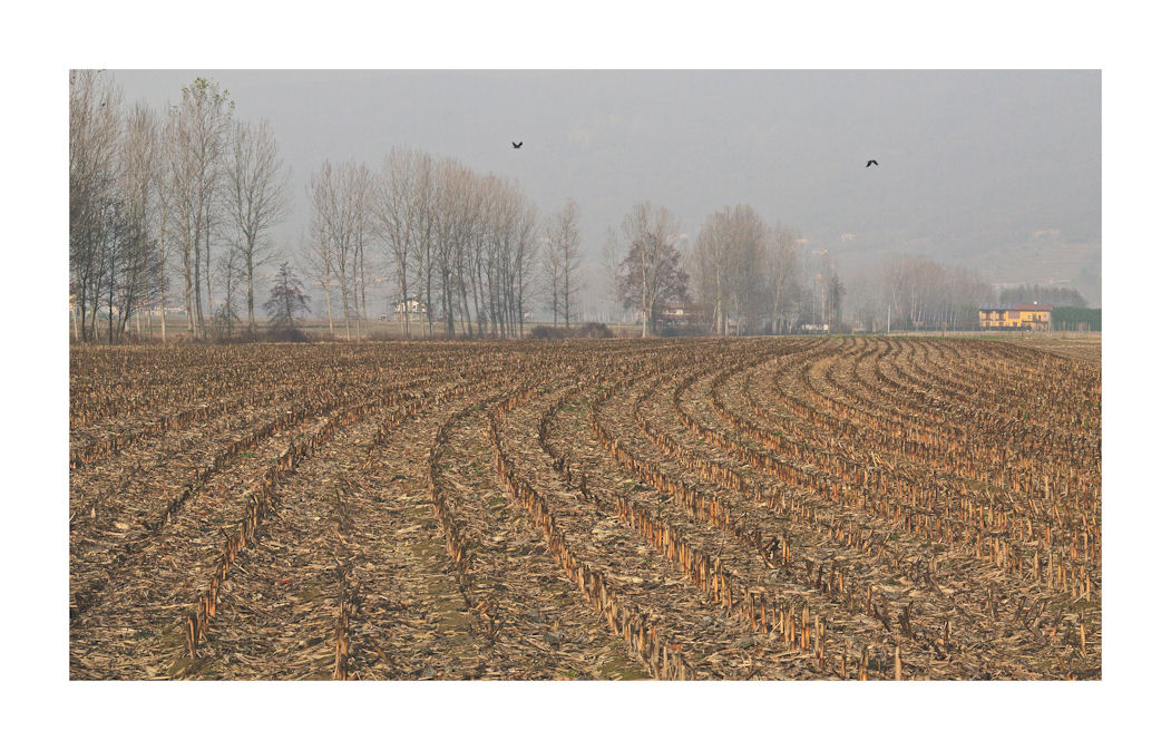 CAMPAGNA AUTUNNALE