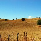 Campagna calabra