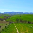 Campagna cingolana in primavera