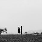 campagna d' inverno