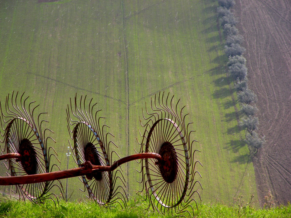 campagna d'Abruzzo