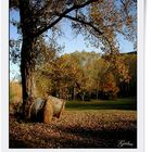 Campagna d'autunno