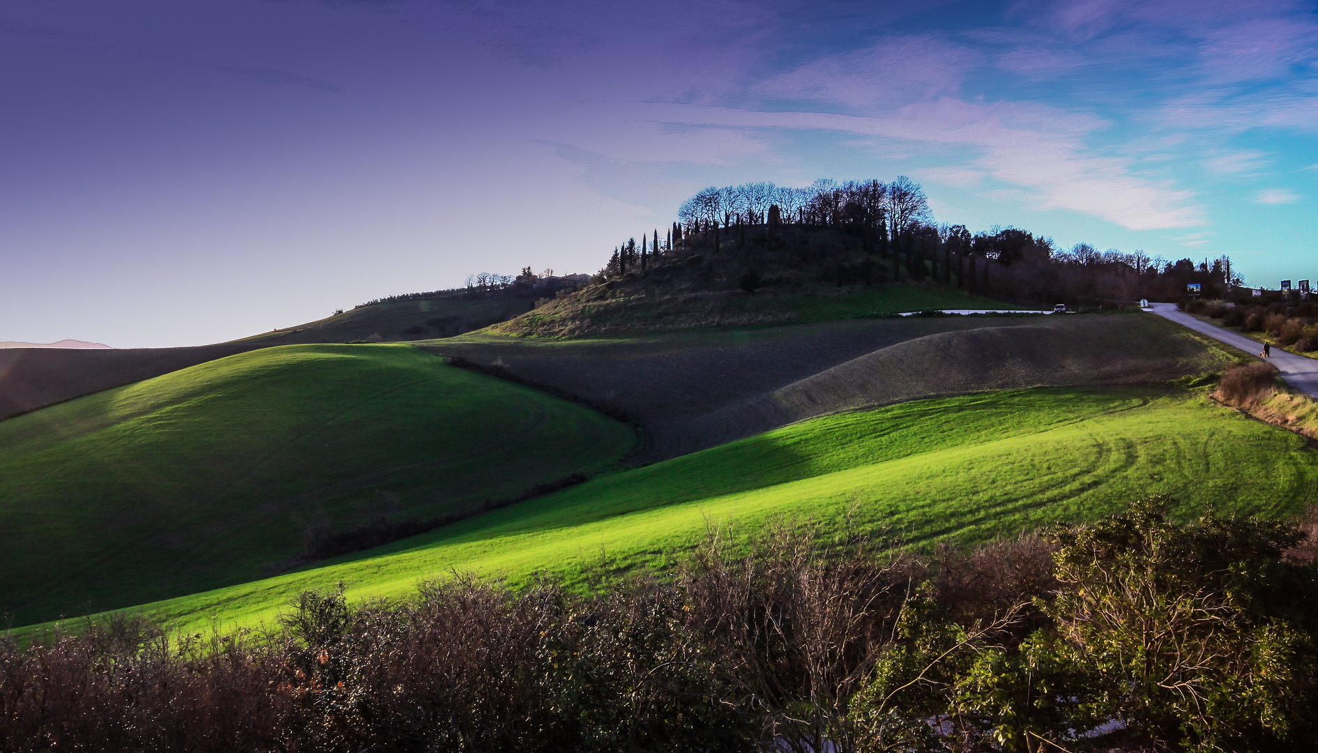 Campagna del Pisano (Layatico) 