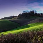 Campagna del Pisano (Layatico) 