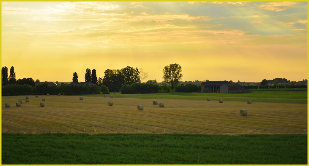 Campagna d'estate