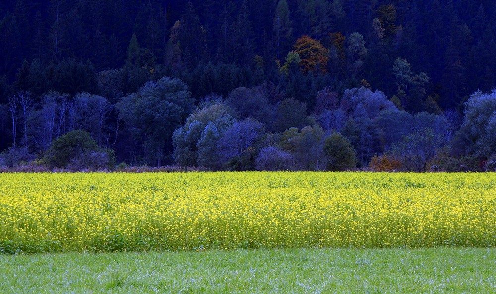 Campagna di Carinzia