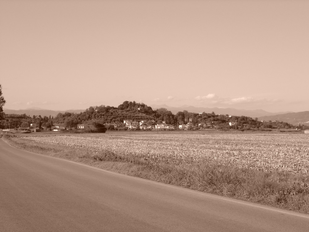 Campagna di Fucecchio