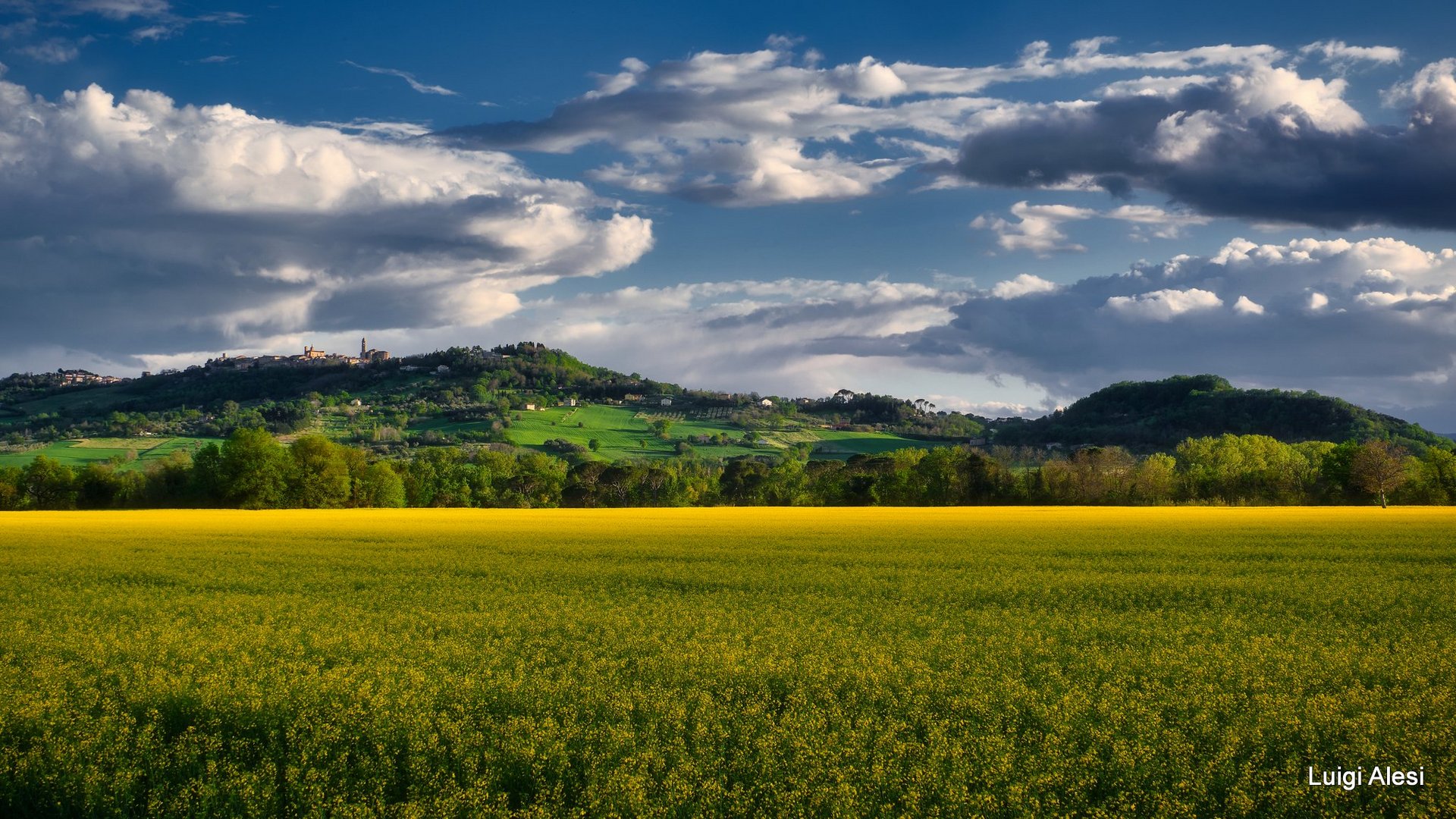 campagna di Pollenza (MC)