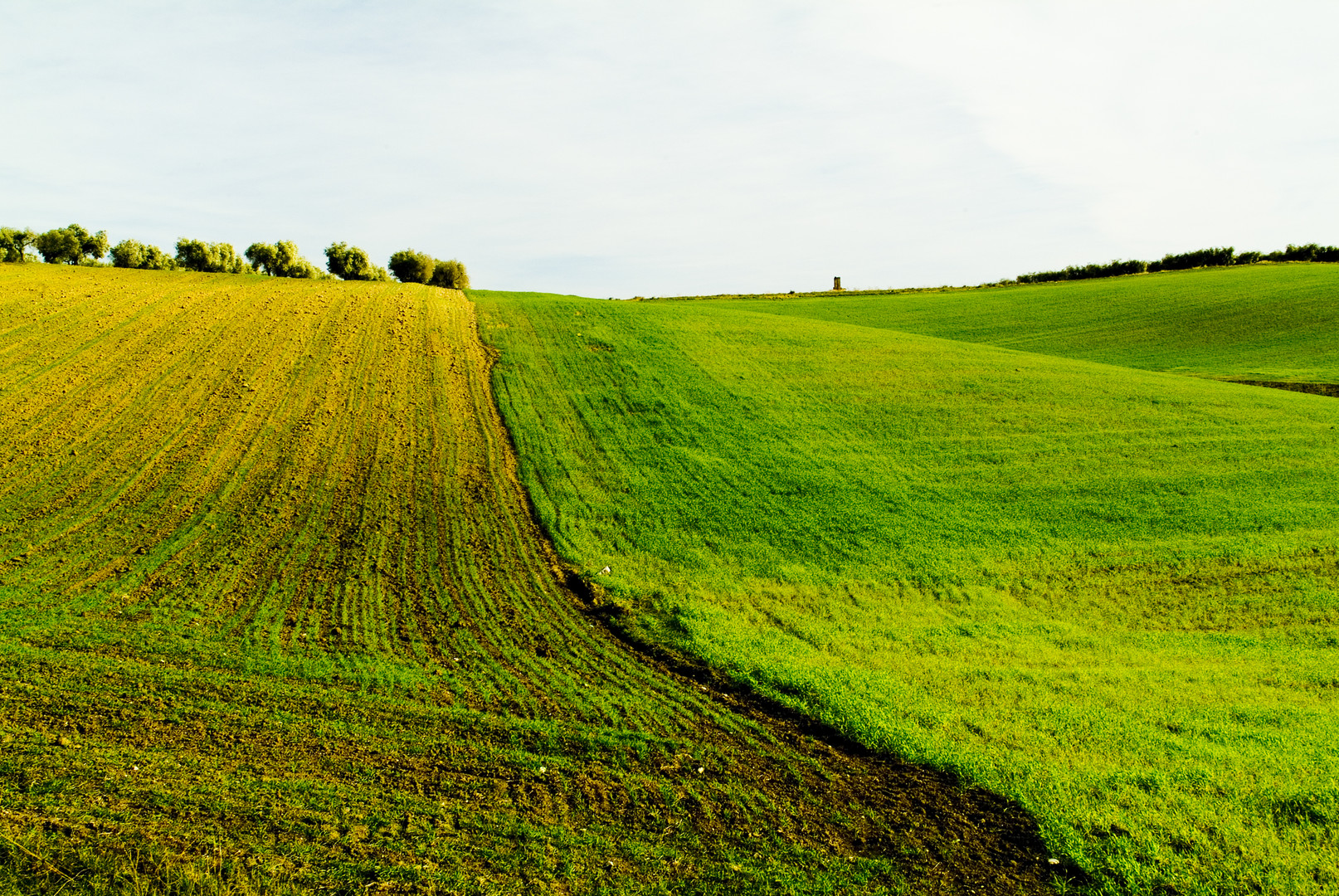 campagna di puglia