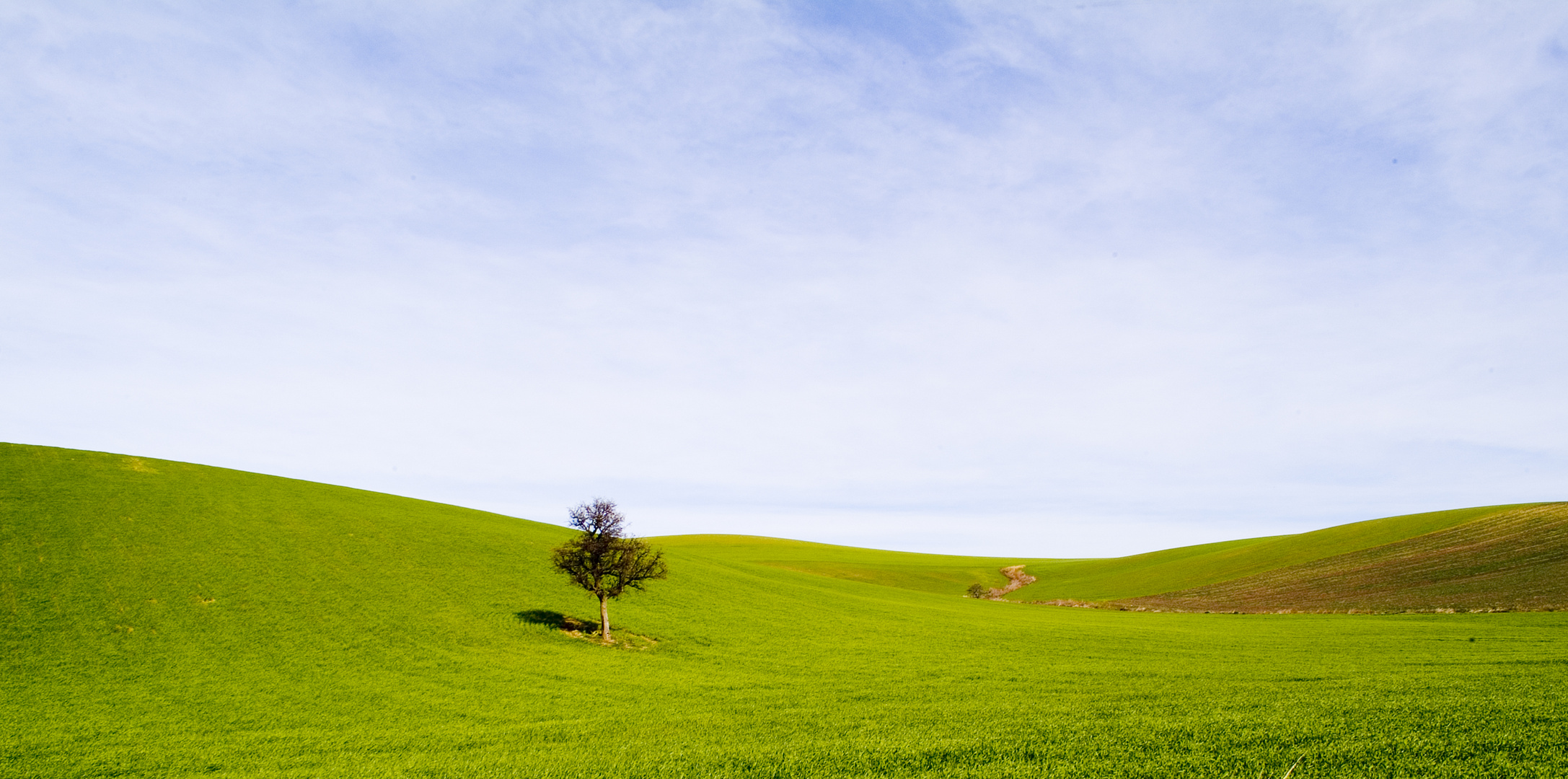 campagna di puglia