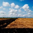 campagna di puglia