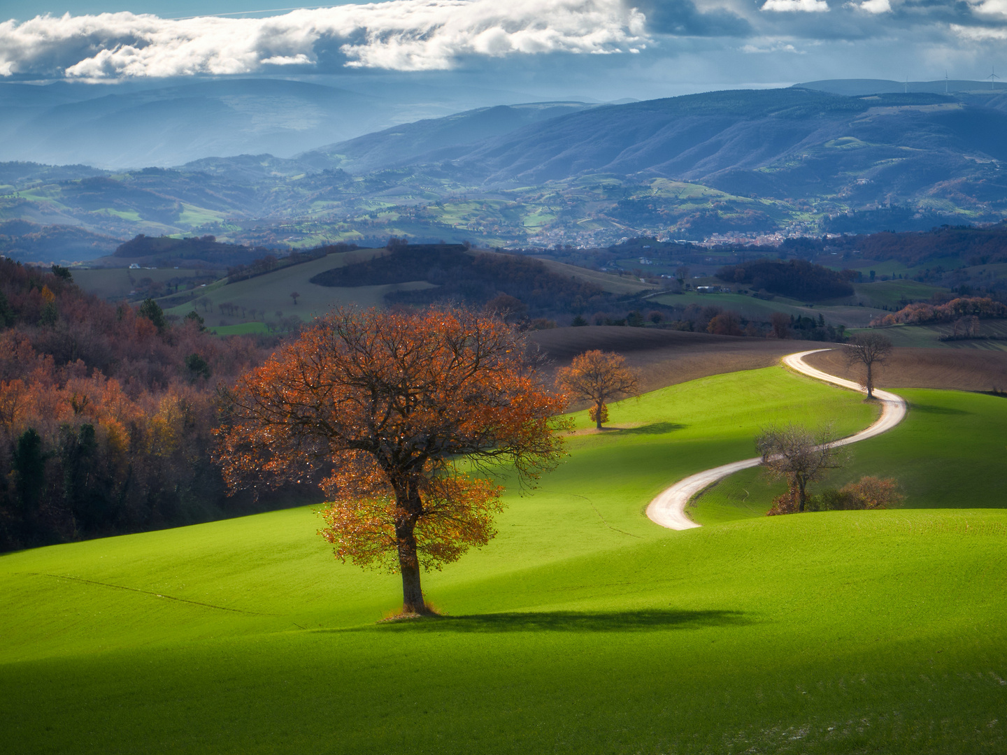 Campagna di San Severino Marche (MC)