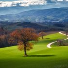 Campagna di San Severino Marche (MC)