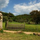 Campagna di Suvereto