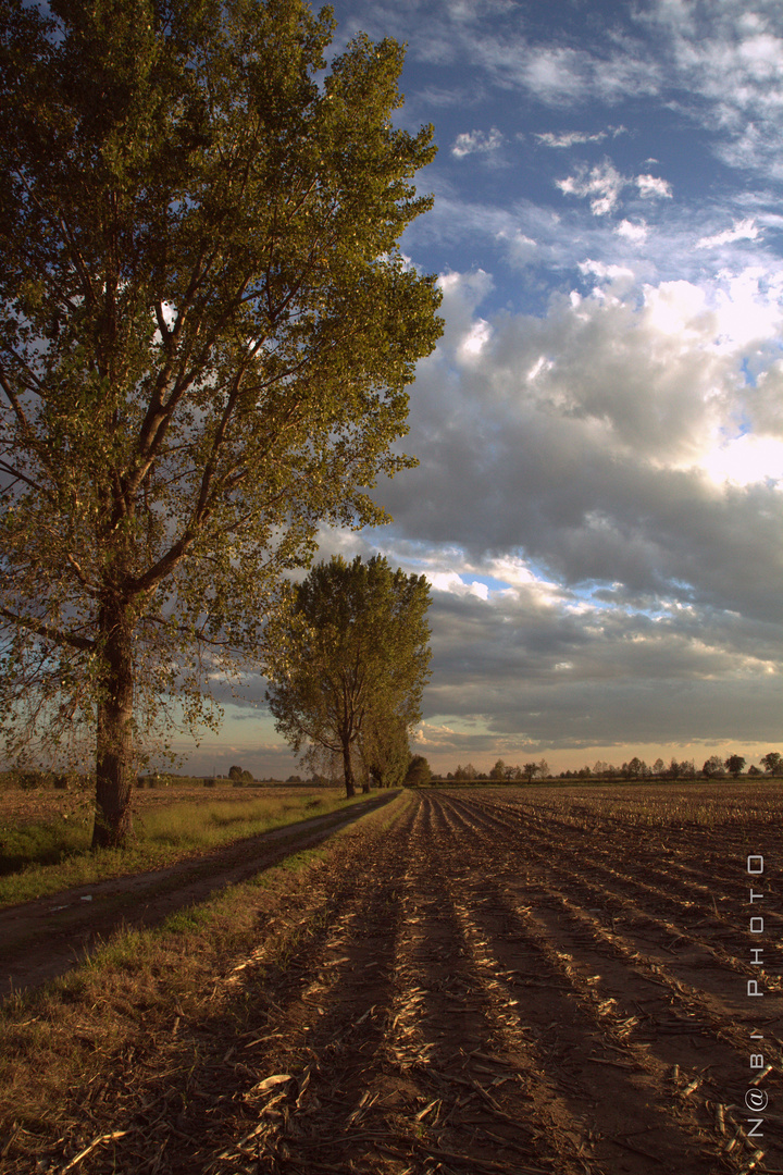 Campagna Dipinta