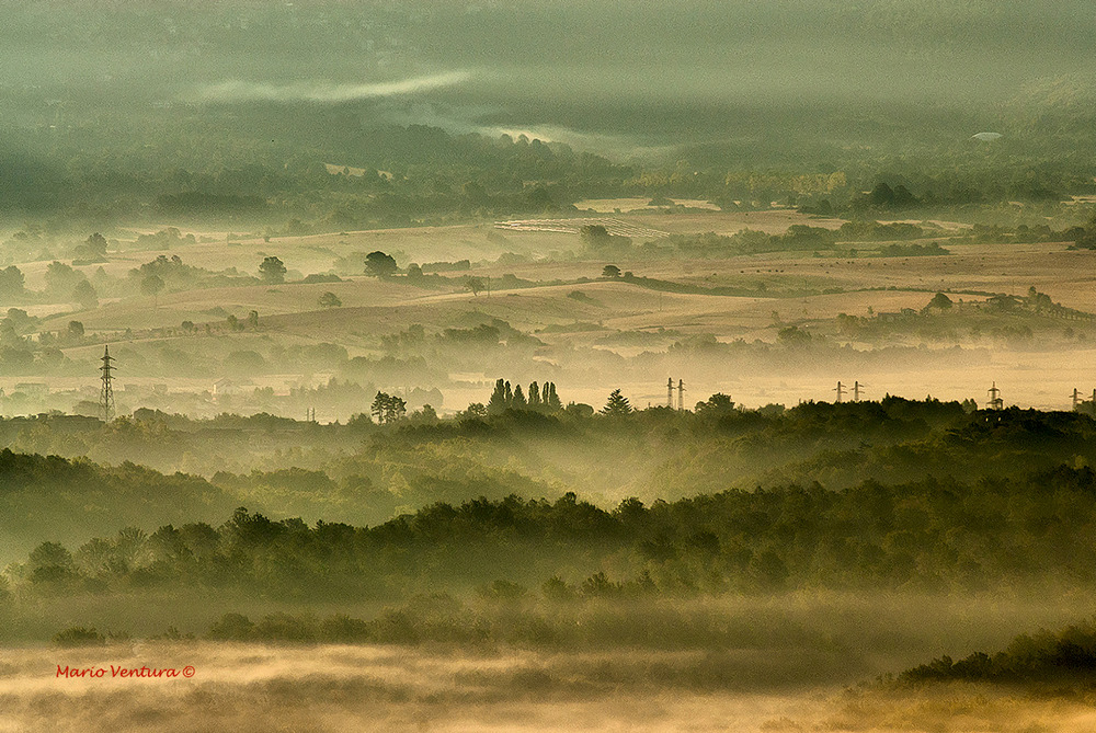 Campagna dorata