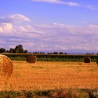 Campagna