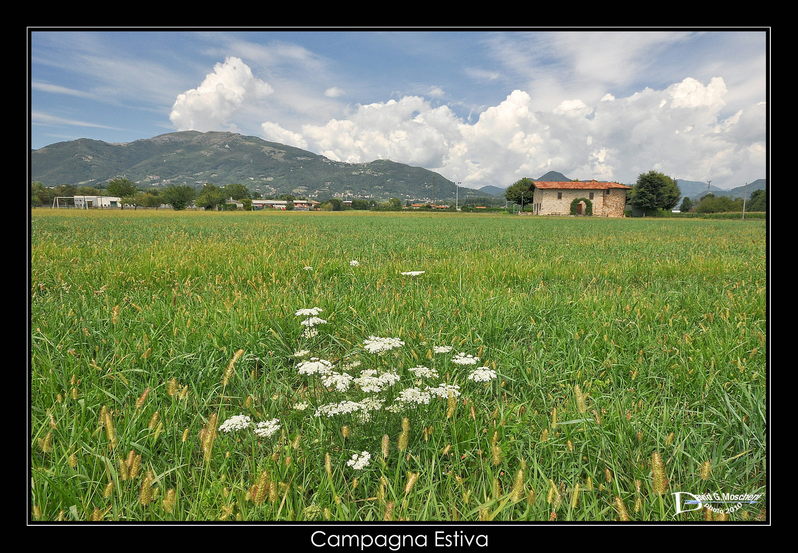 Campagna Estiva