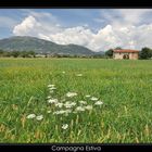 Campagna Estiva