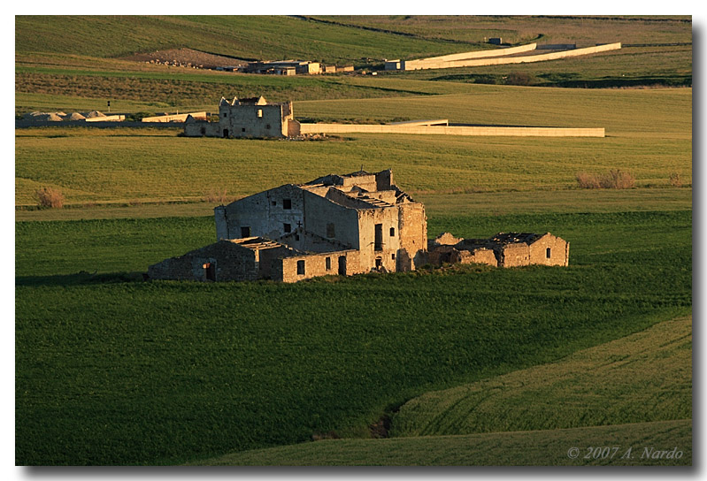 Campagna gelese