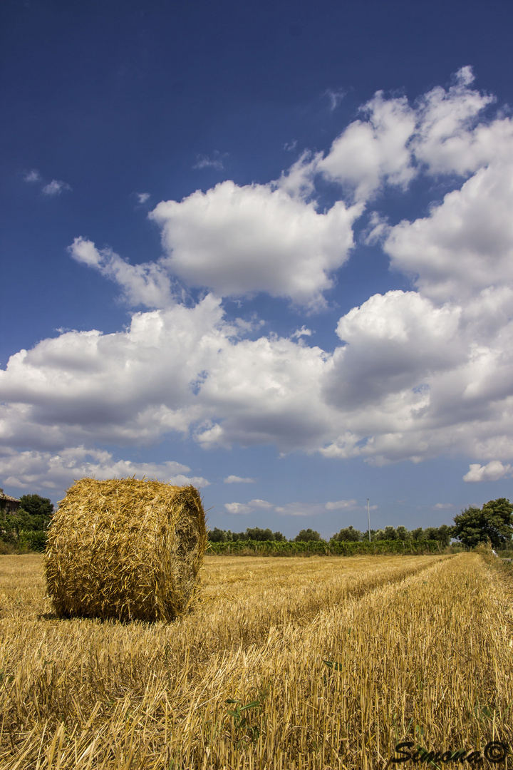 Campagna Grossetano