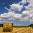 Campagna Grossetano