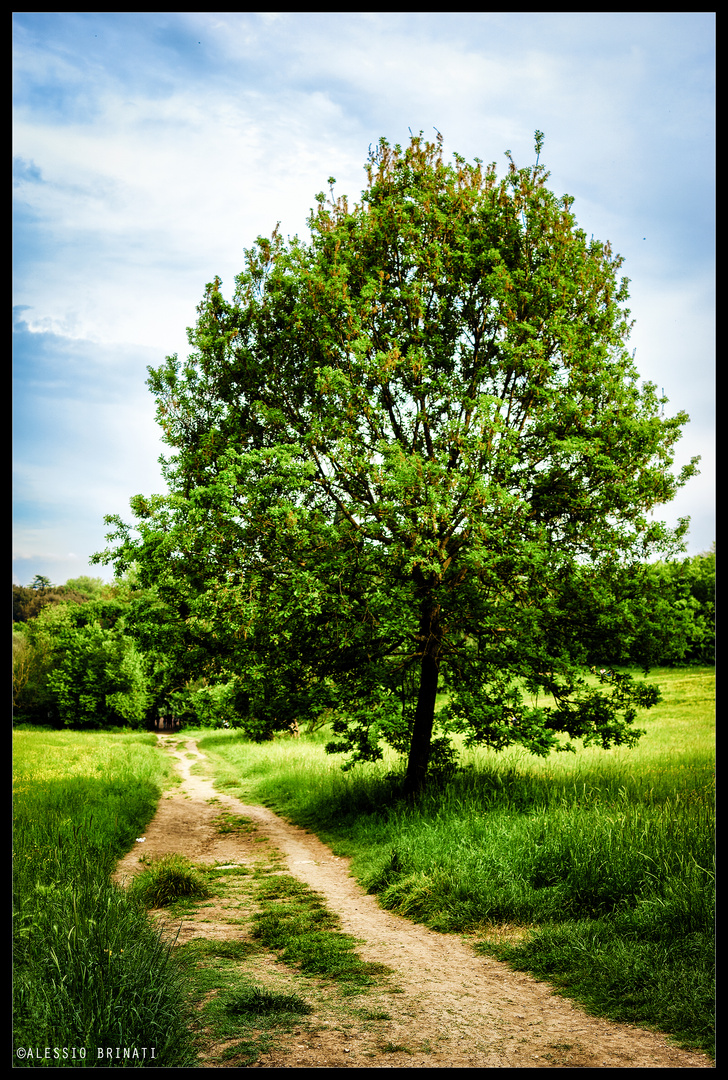 Campagna in CIttà - Villa Pamphili