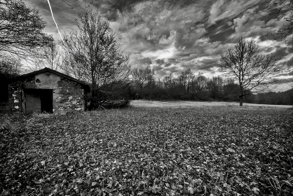 Campagna in inverno