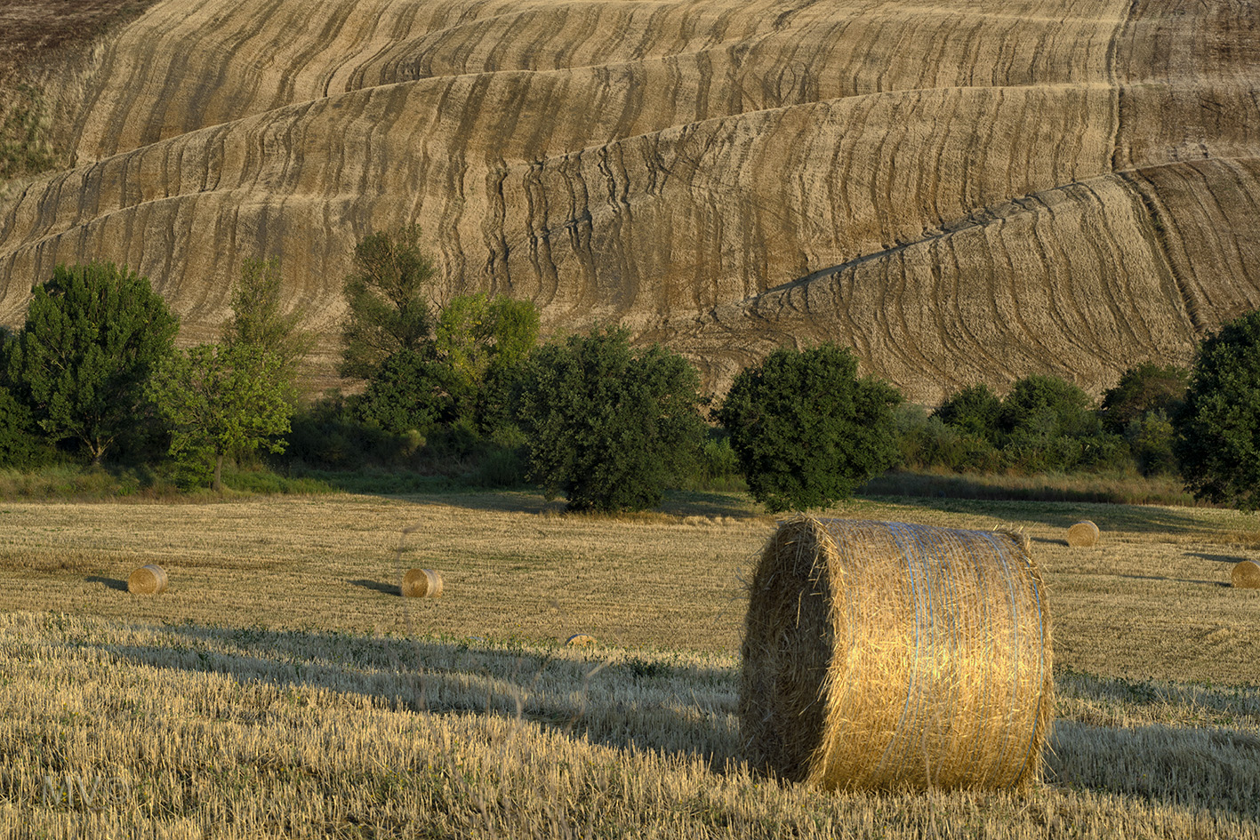 Campagna in Val d'orcia